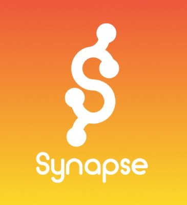 Synapse