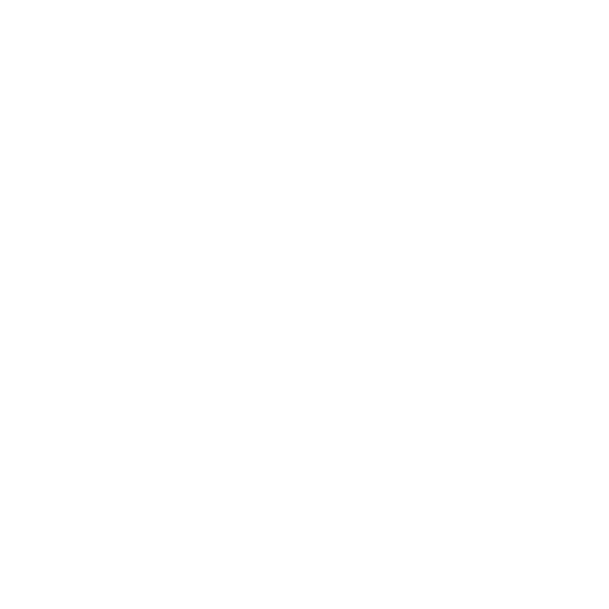 Nixtzone Logo