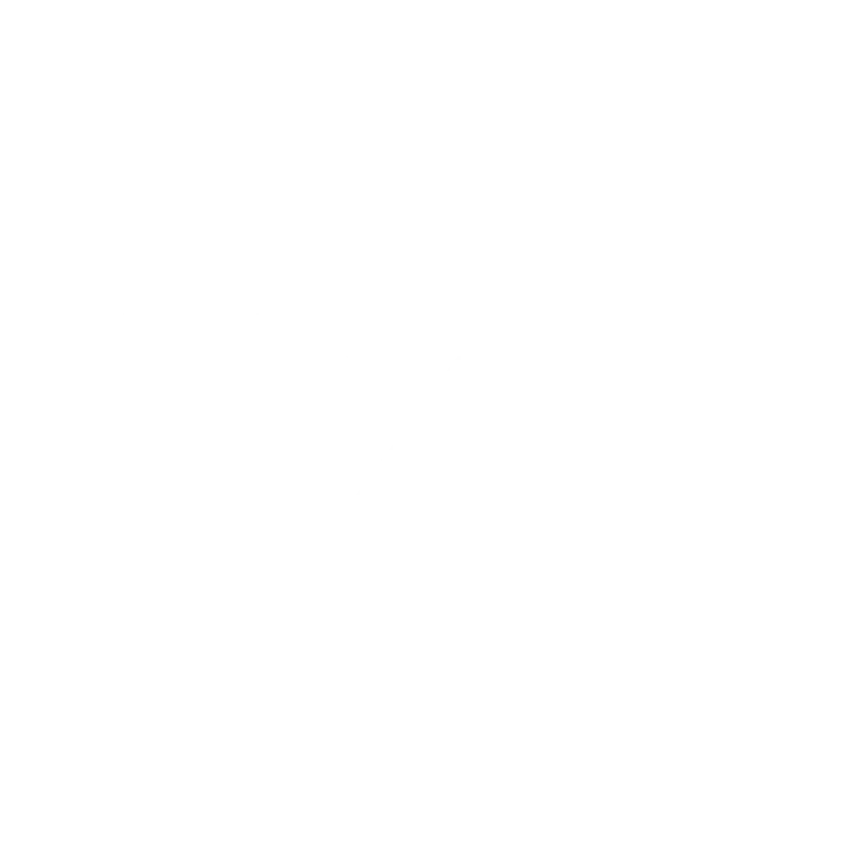 Nixtzone